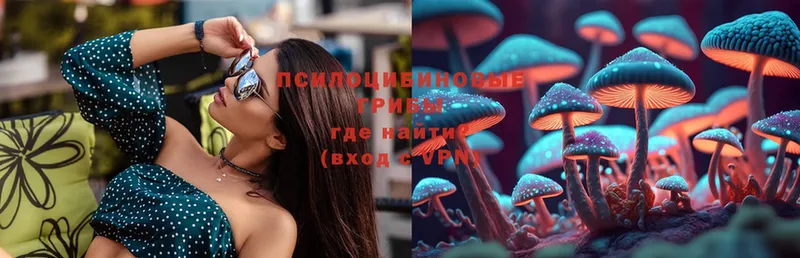 Псилоцибиновые грибы MAGIC MUSHROOMS  где купить наркоту  ОМГ ОМГ ссылка  Конаково 